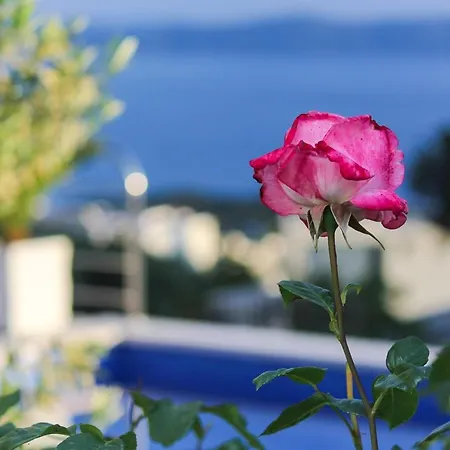 Vila Levanda In Makarska, Private Pool
